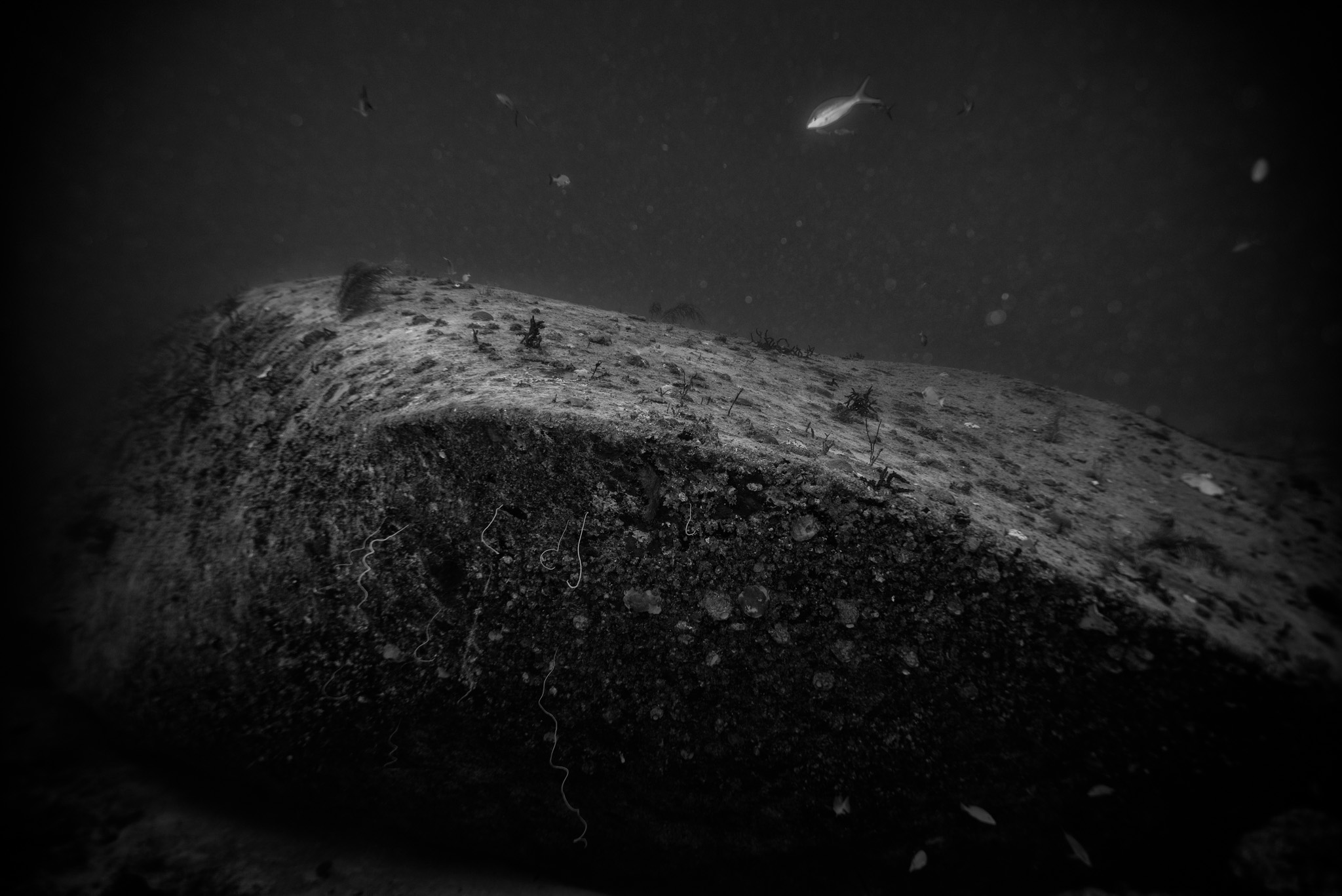 Theo's Wreck