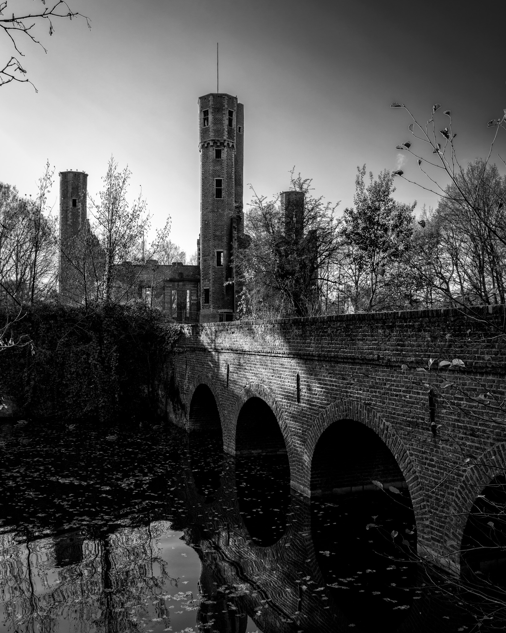 Castle Ter Elst Ruins