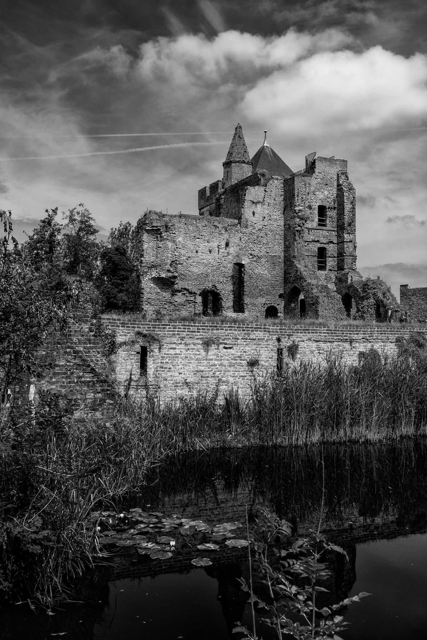 Ruins of Brederode