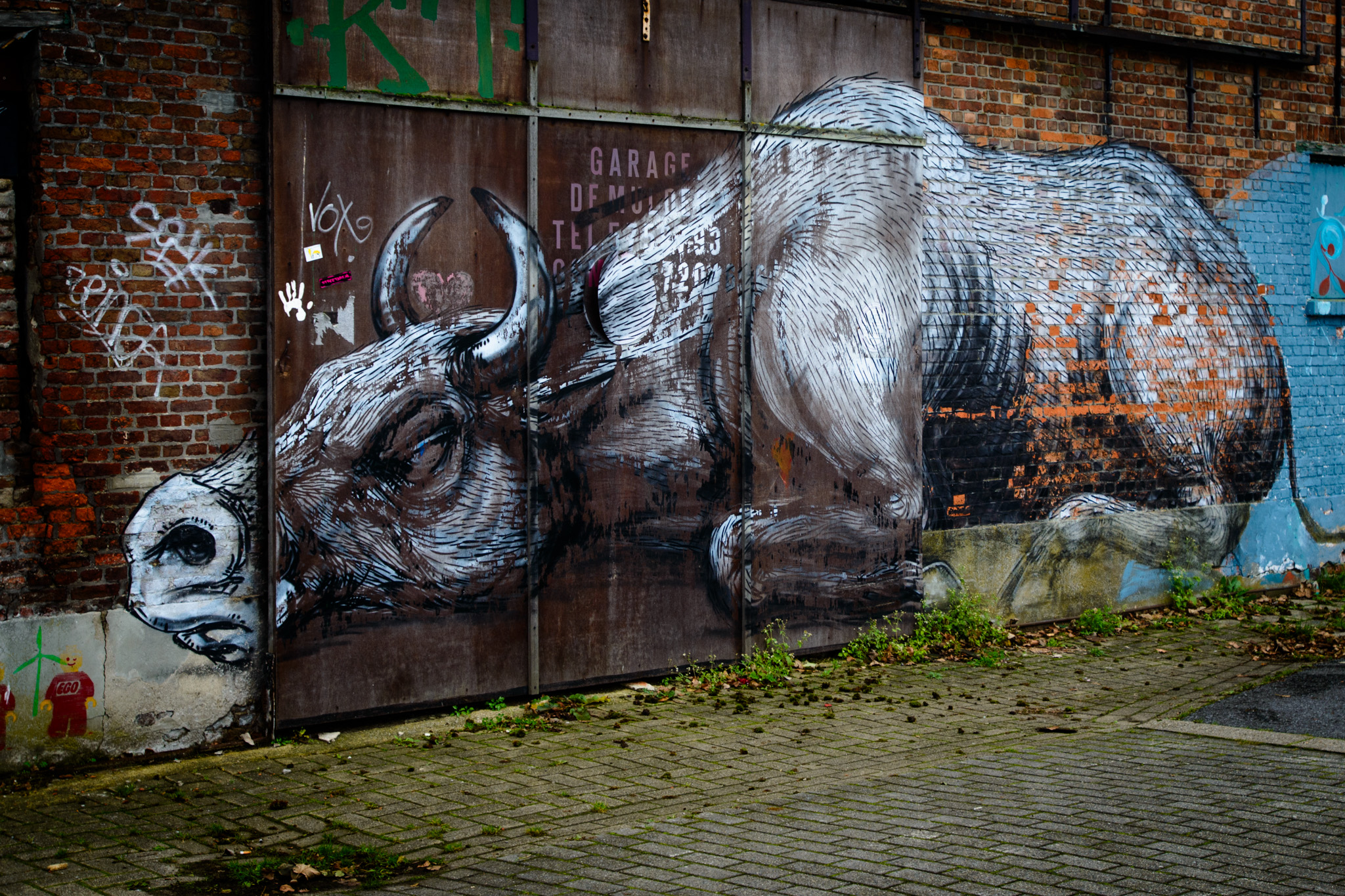 Doel