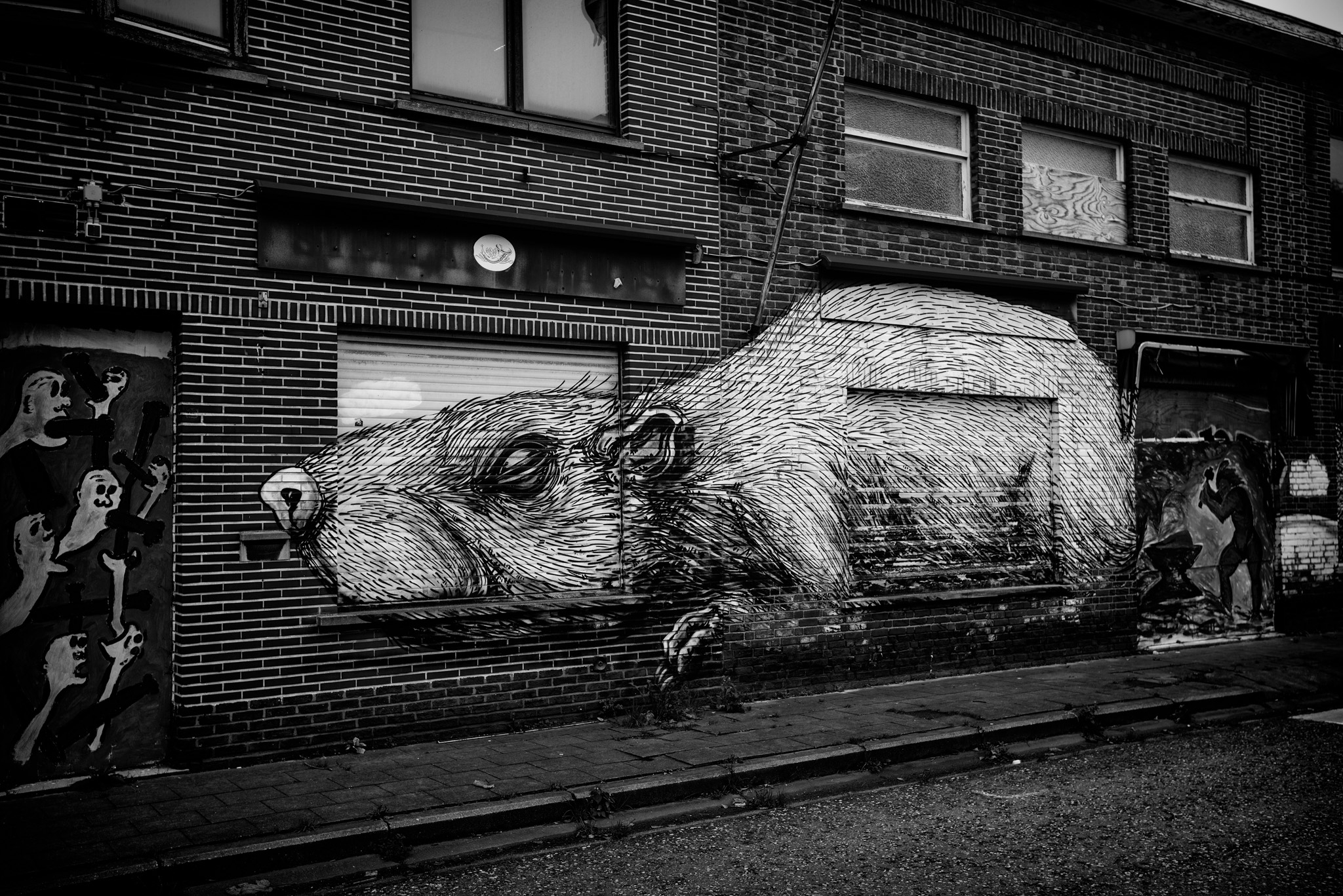 Doel