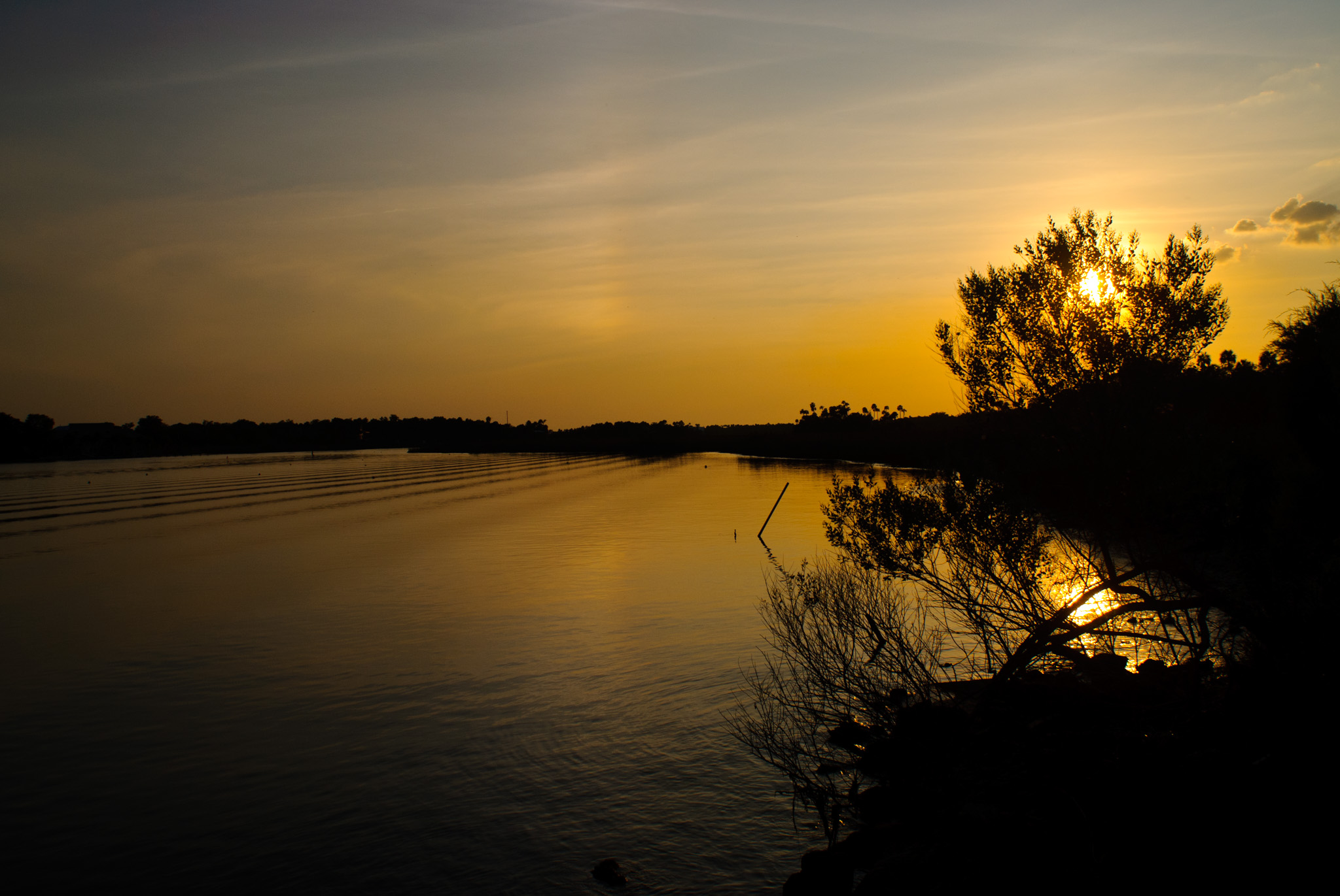 Crystal River Sunset