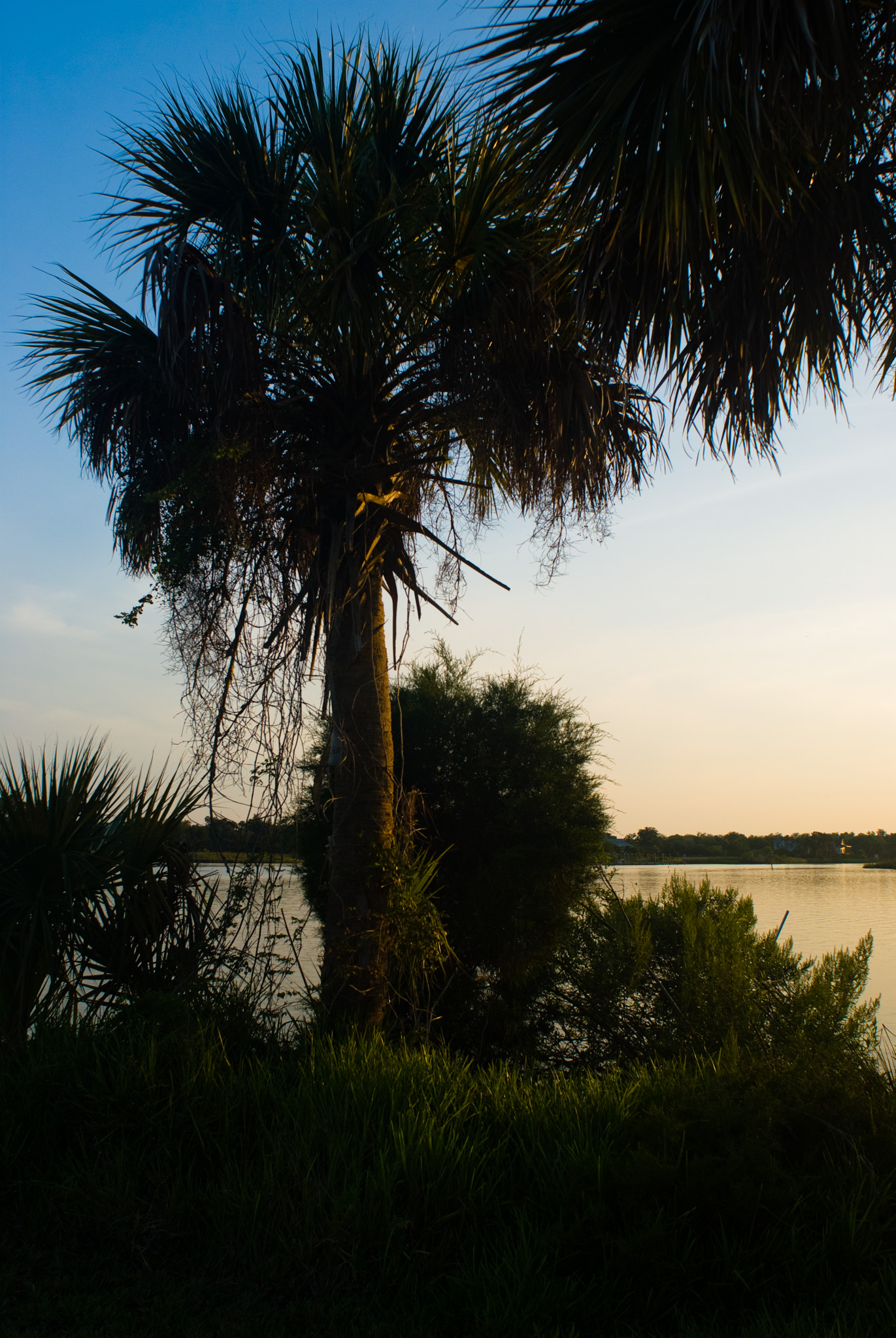Crystal River Sunset