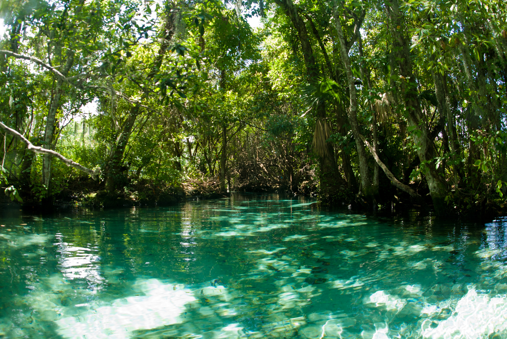 Three Sisters Spring