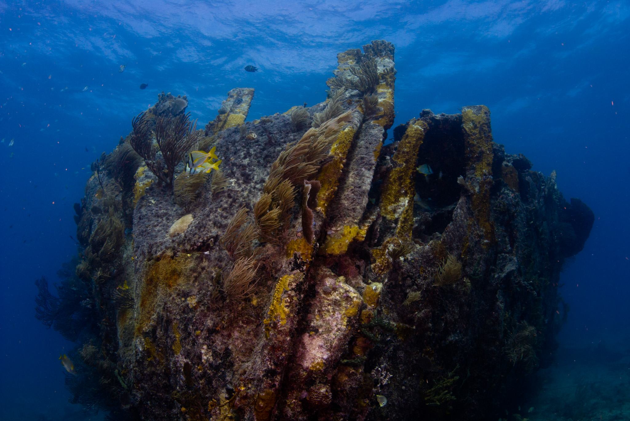 Benwood Wreck Bow Section