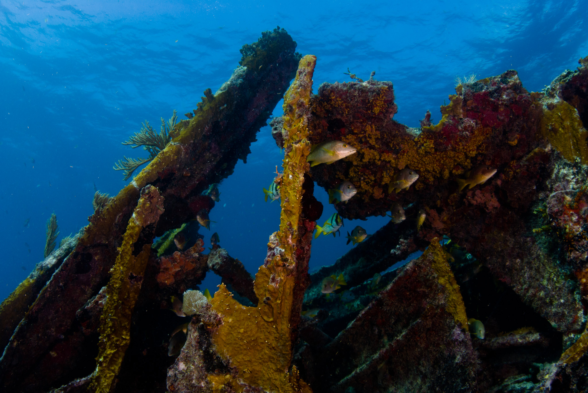 Benwood Wreck