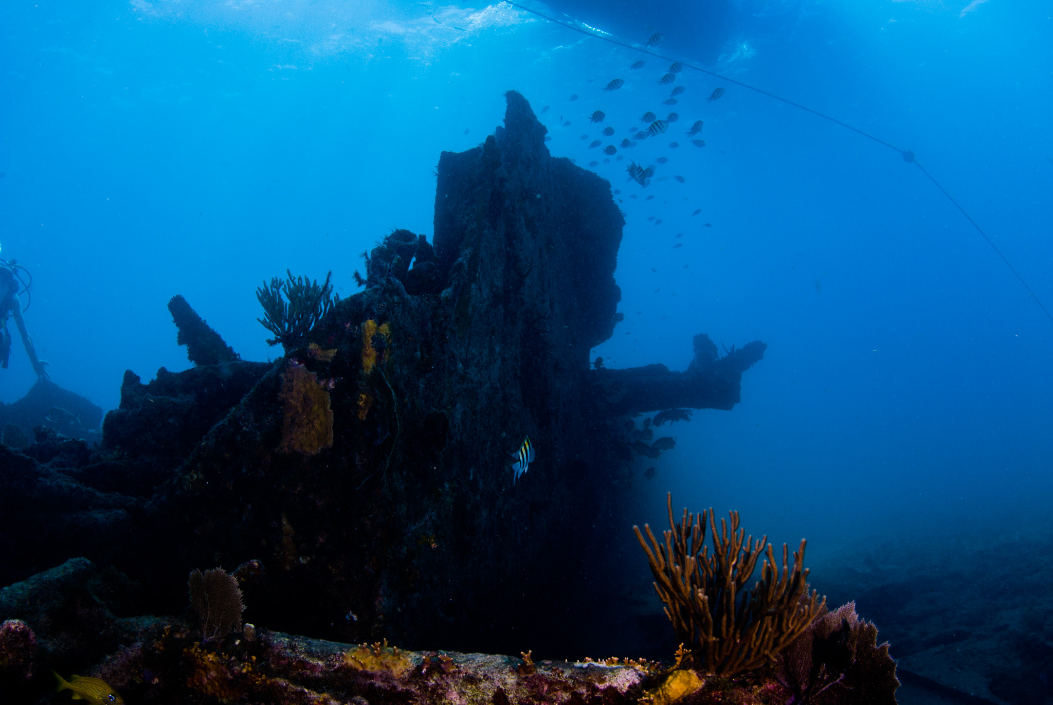 Benwood Wreck