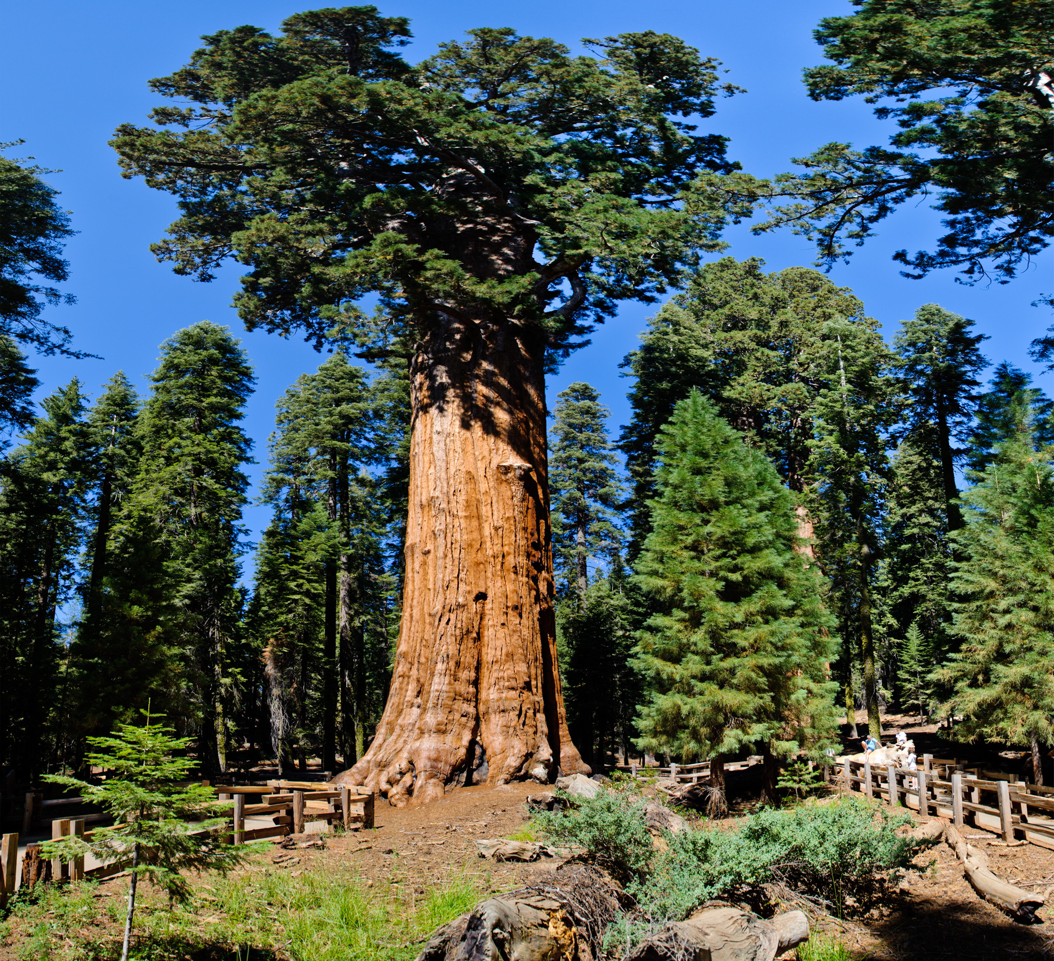 General Sherman