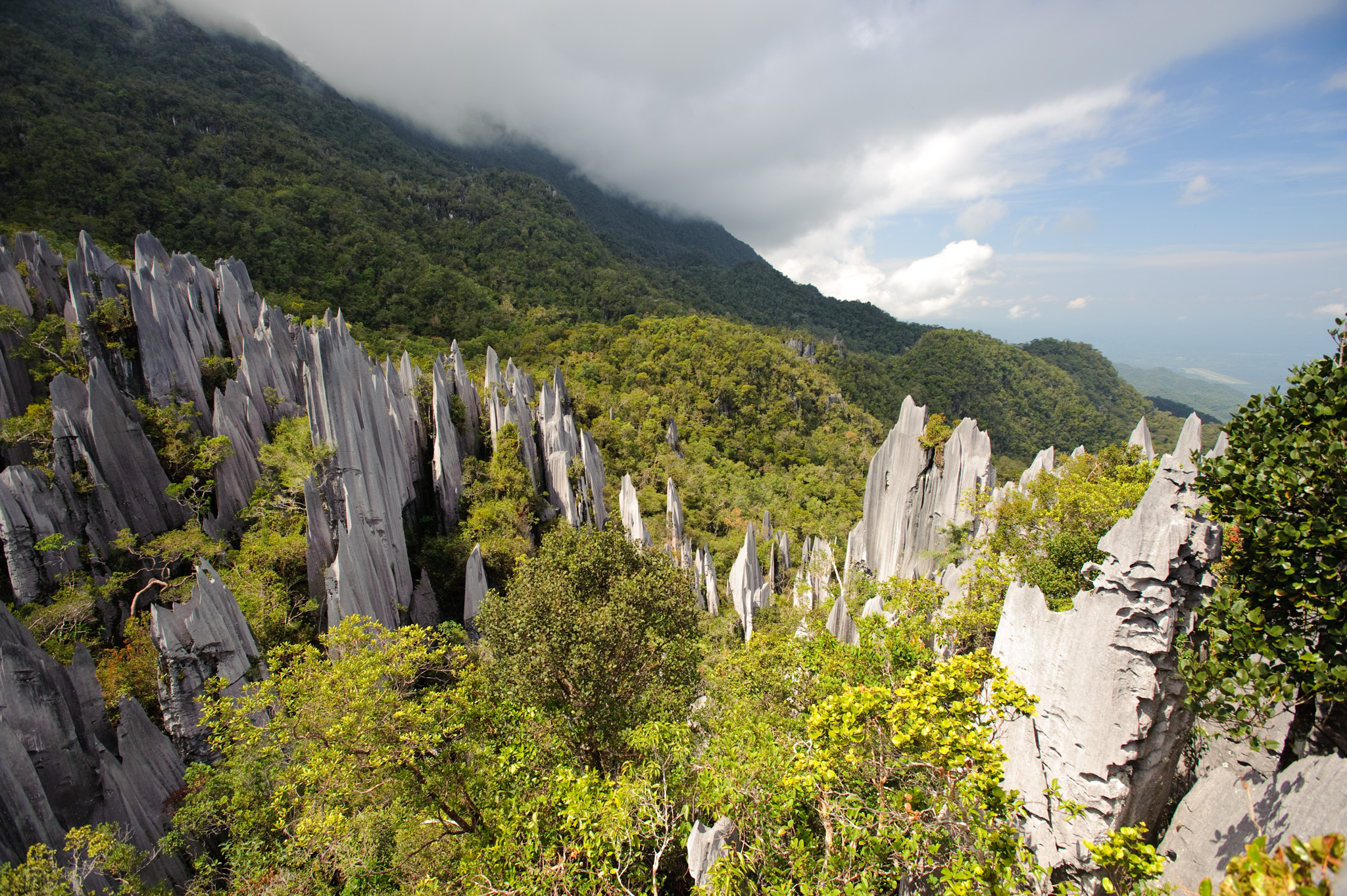 Gunung Mulu