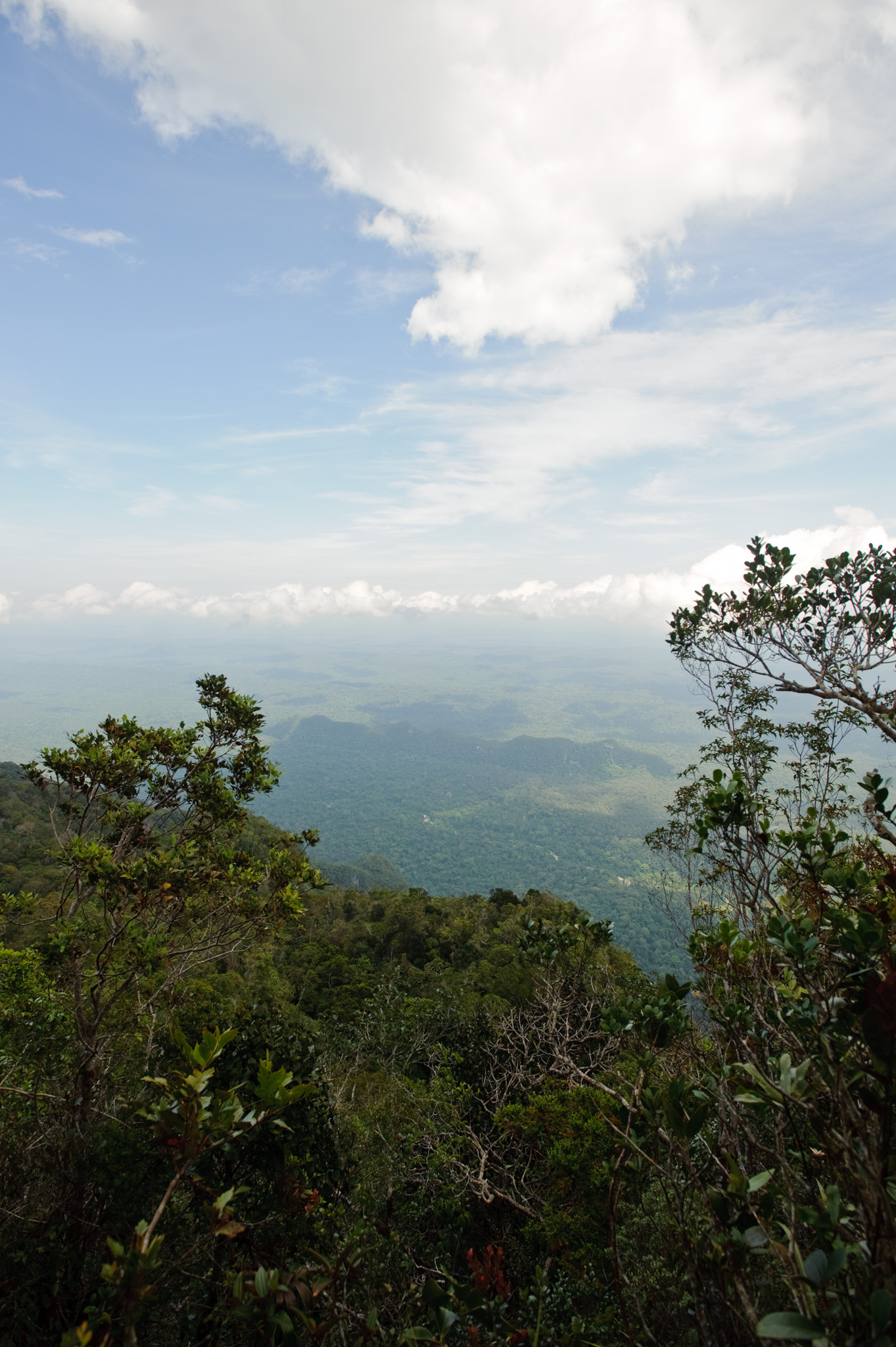 Gunung Mulu