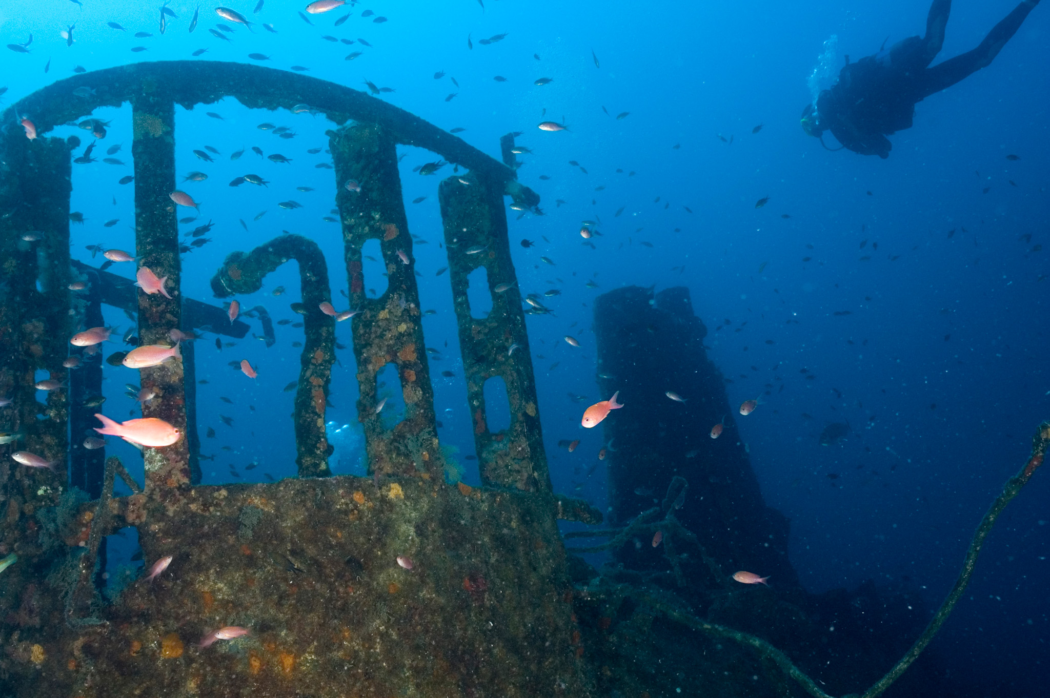 Submarine Rubis