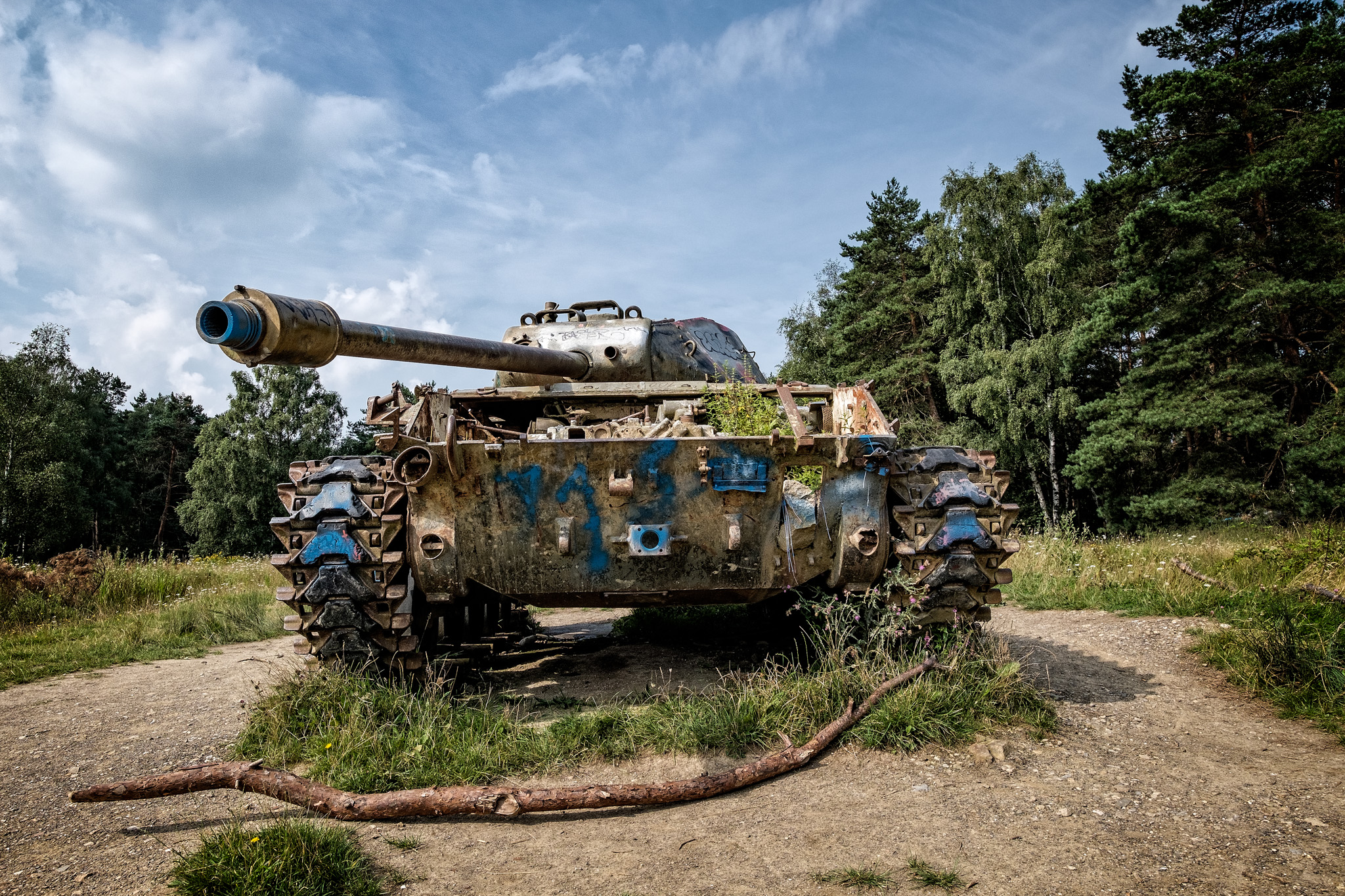 Panzers im Branderwald