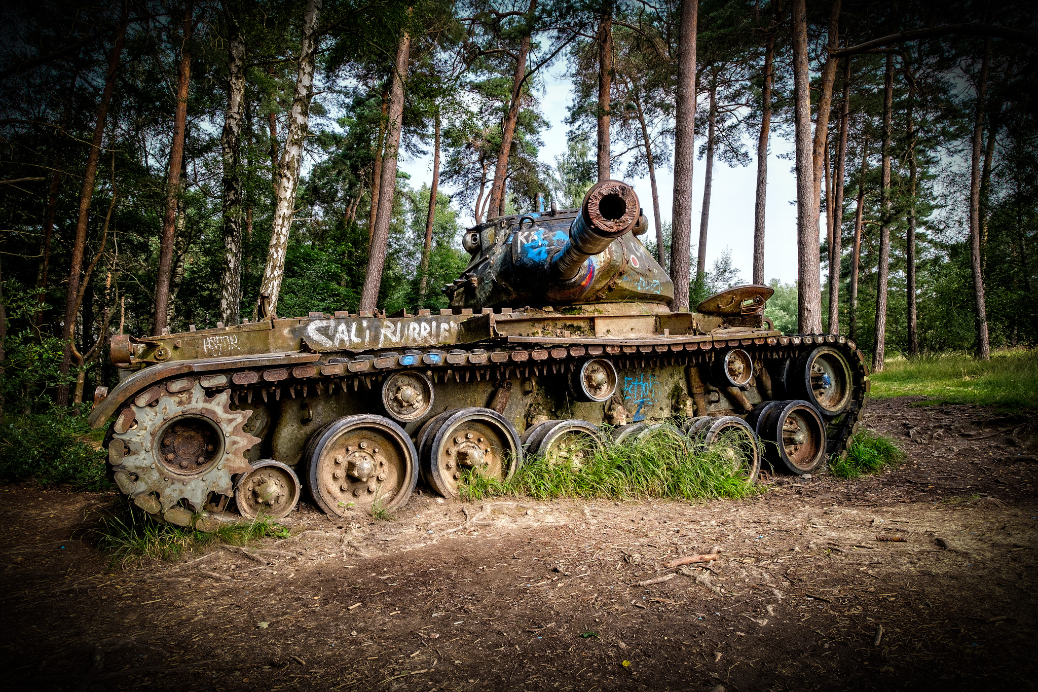 Panzers im Branderwald