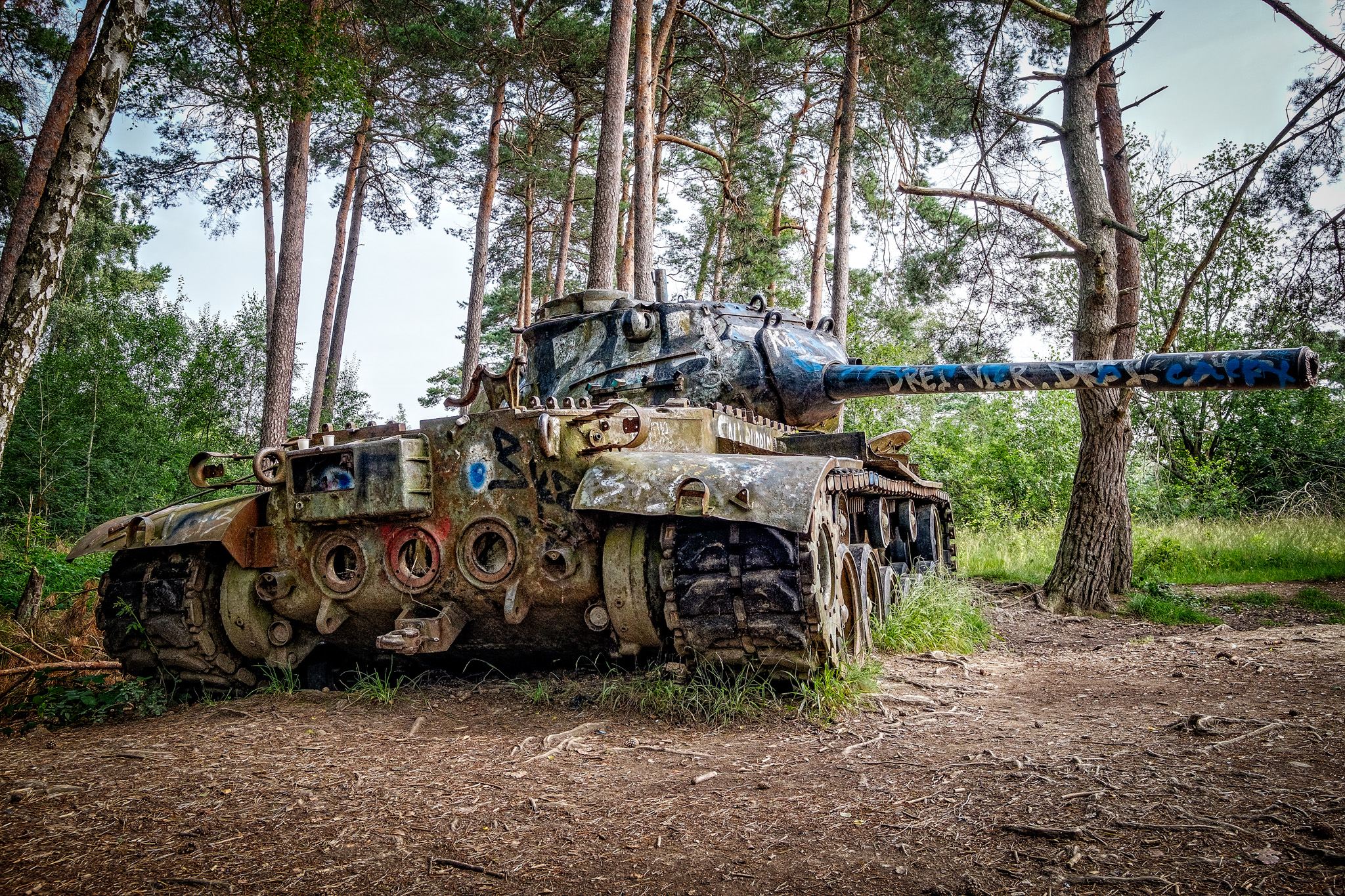 Panzers im Branderwald