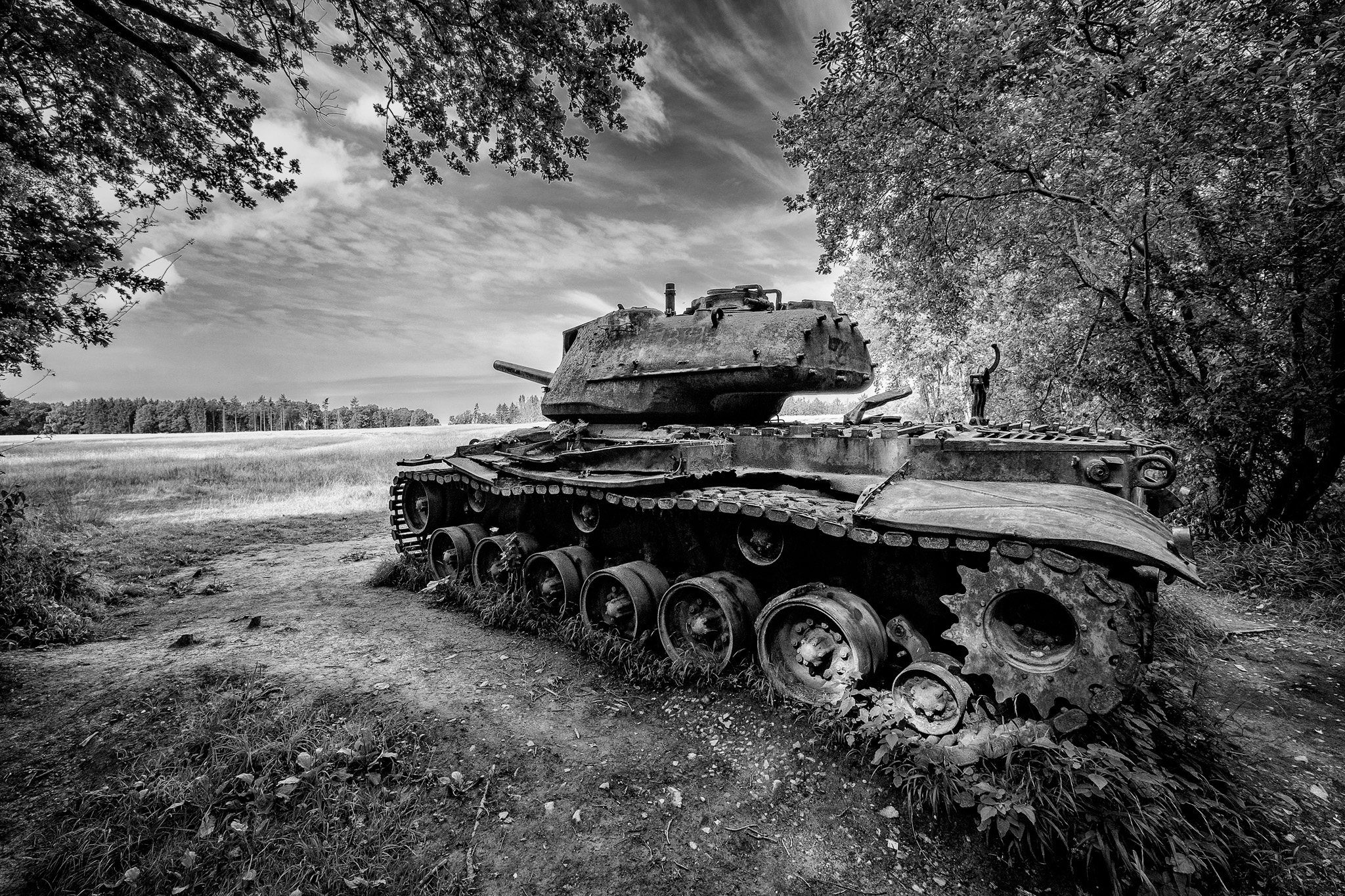 Panzers im Branderwald