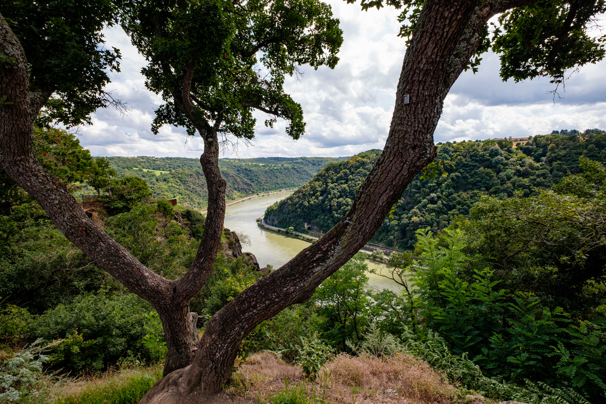 Loreley Rock