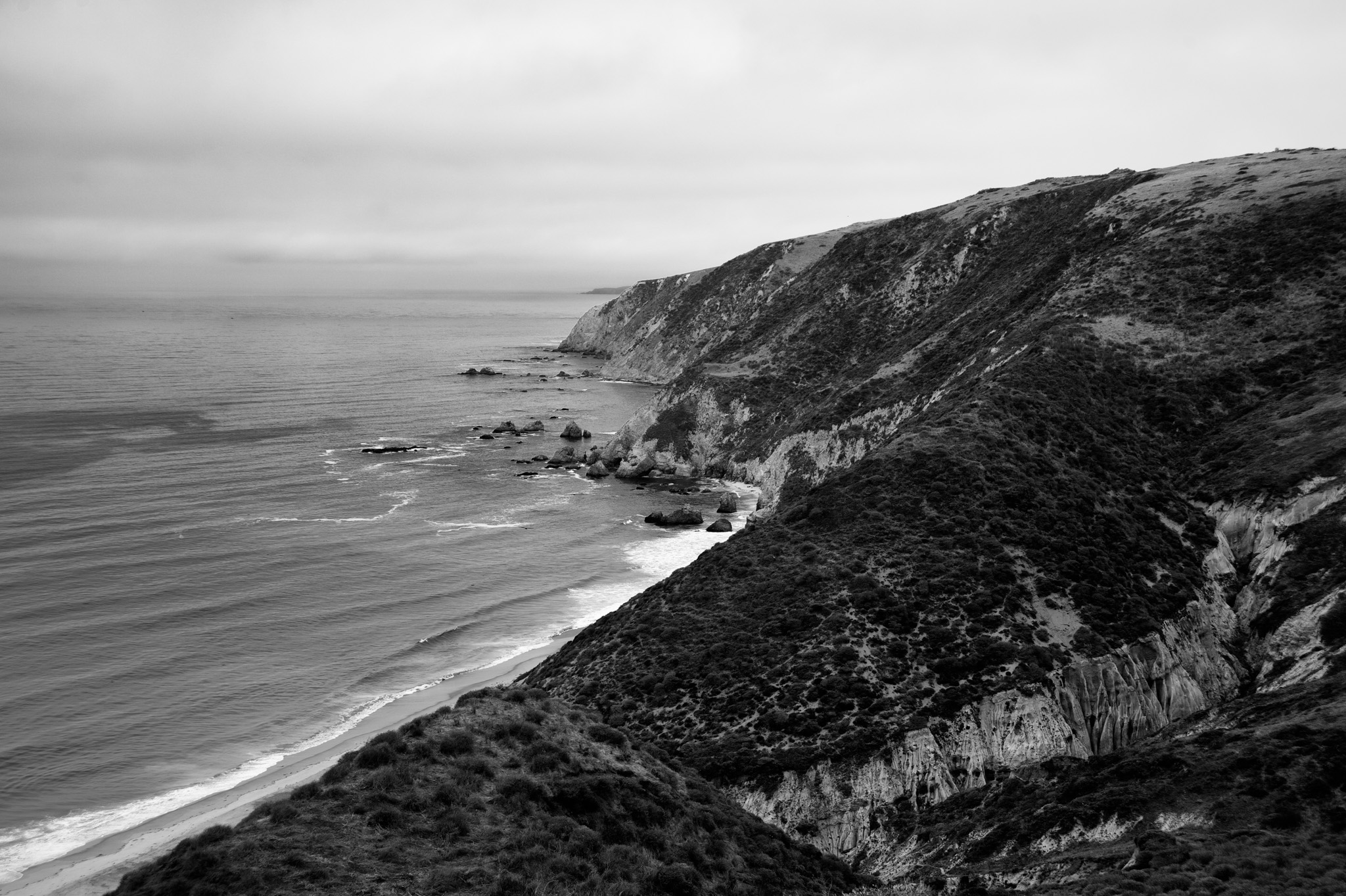 Tomales Point