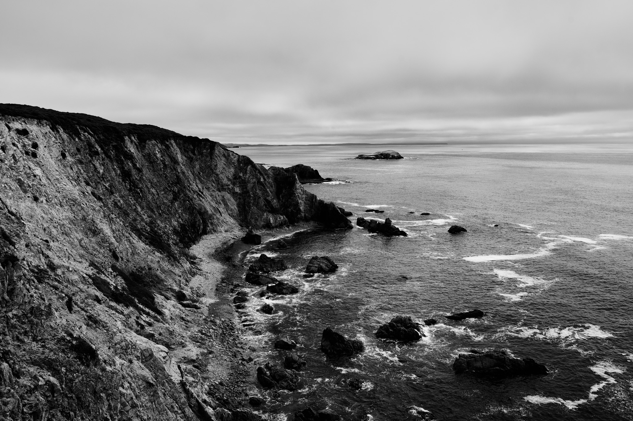 Tomales Point