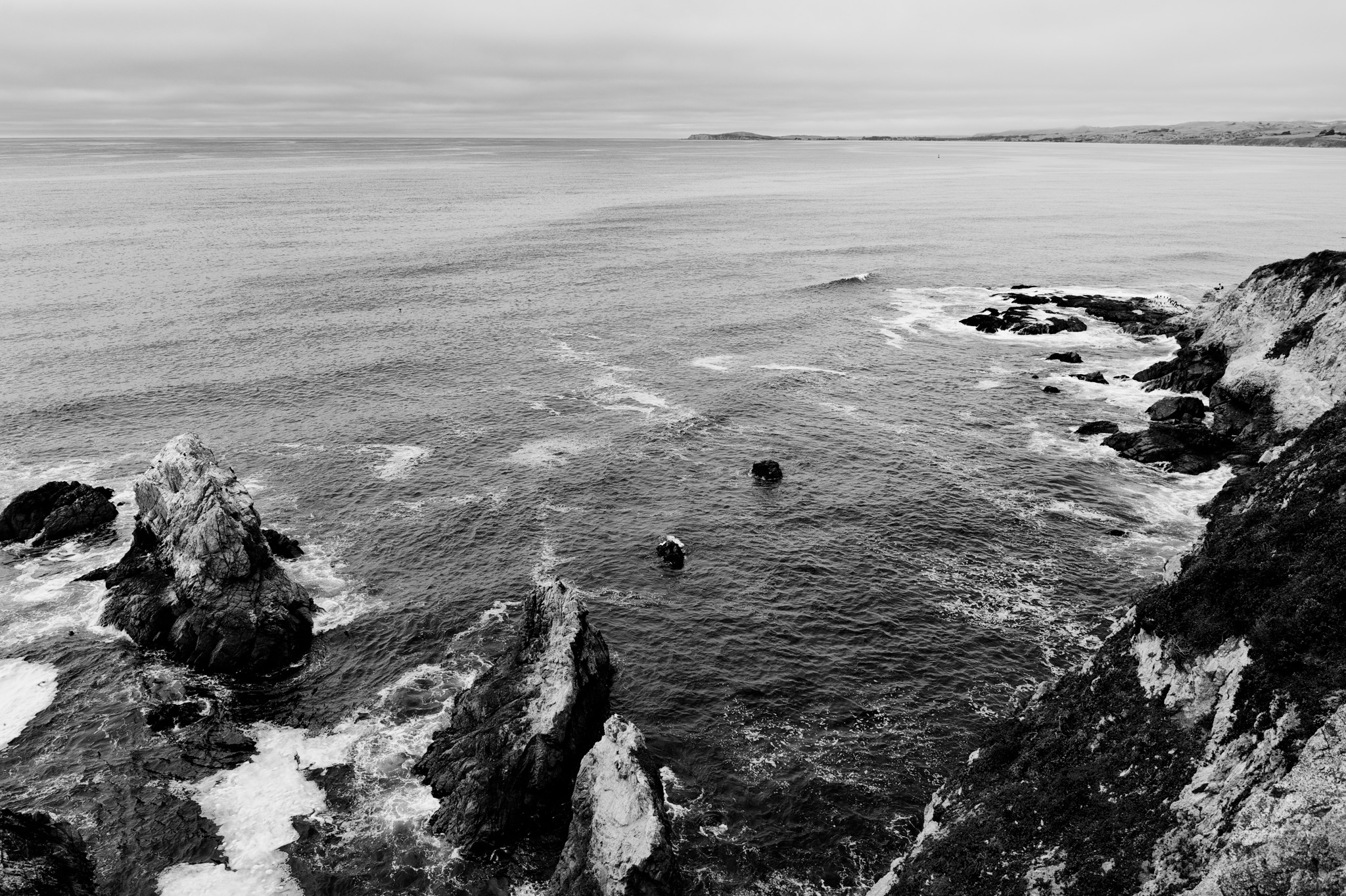 Tomales Point