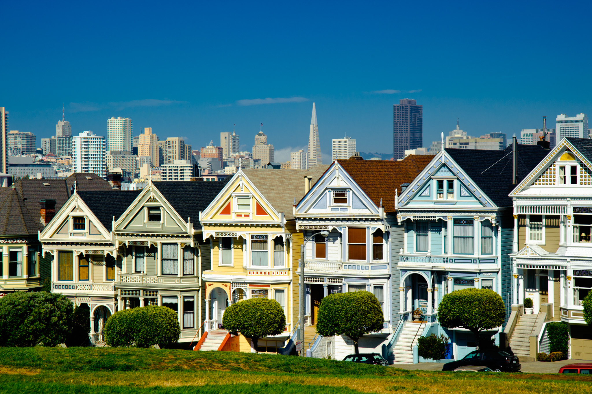 Painted Ladies