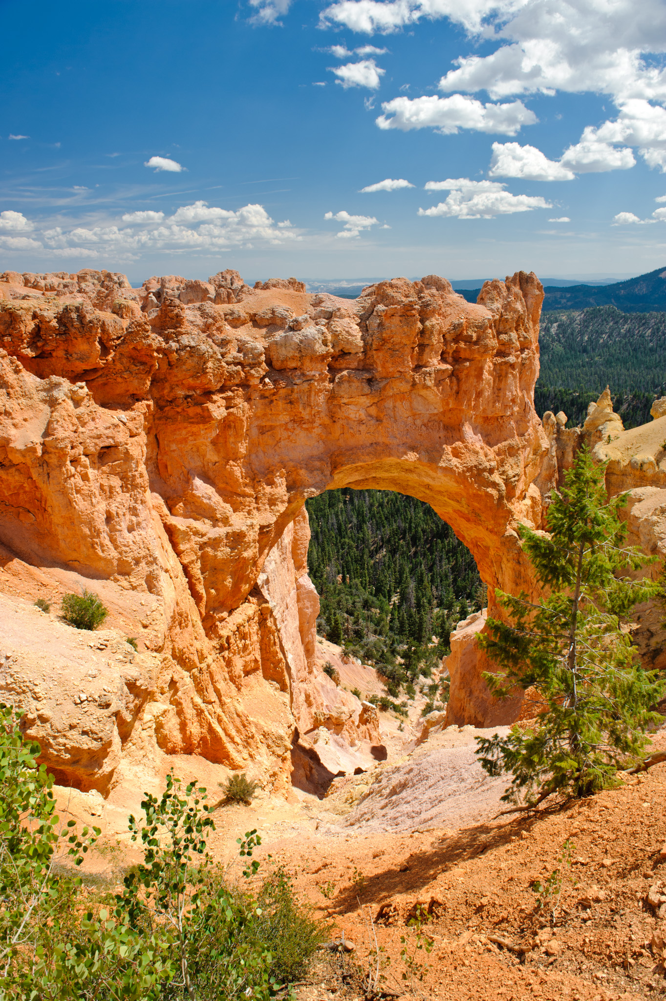 Natural Bridge