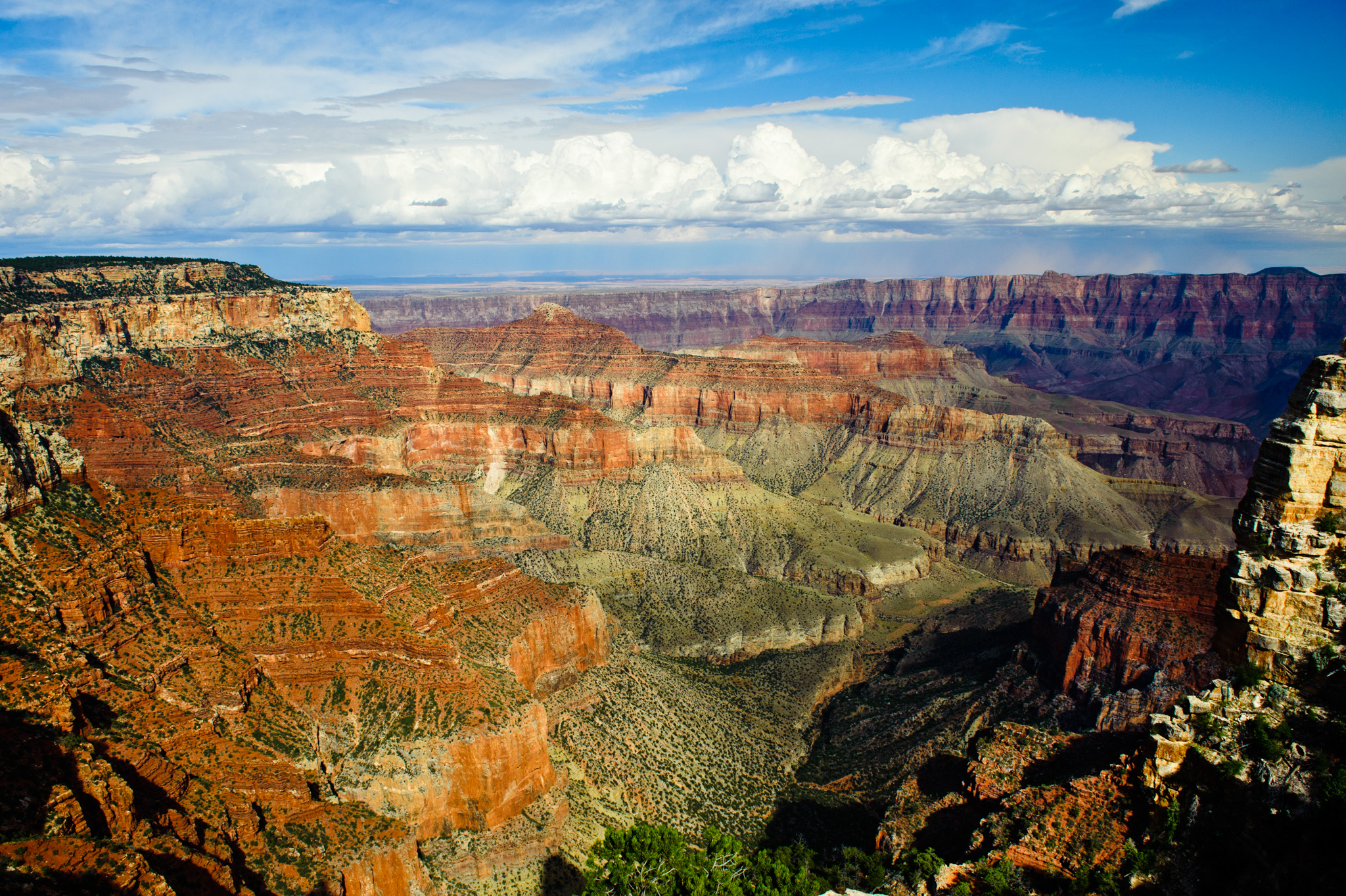 North Rim, Walhalla Overlook