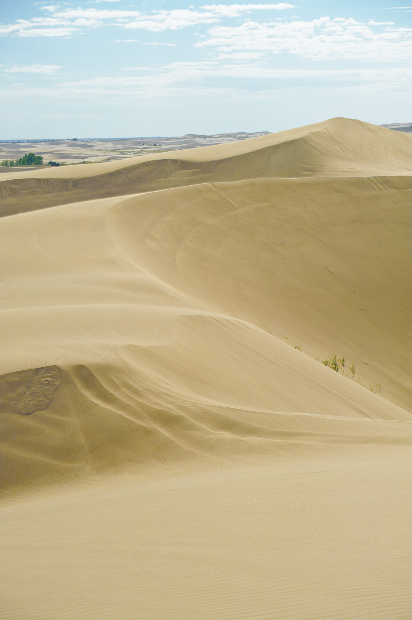 St. Anthony Sand Dunes