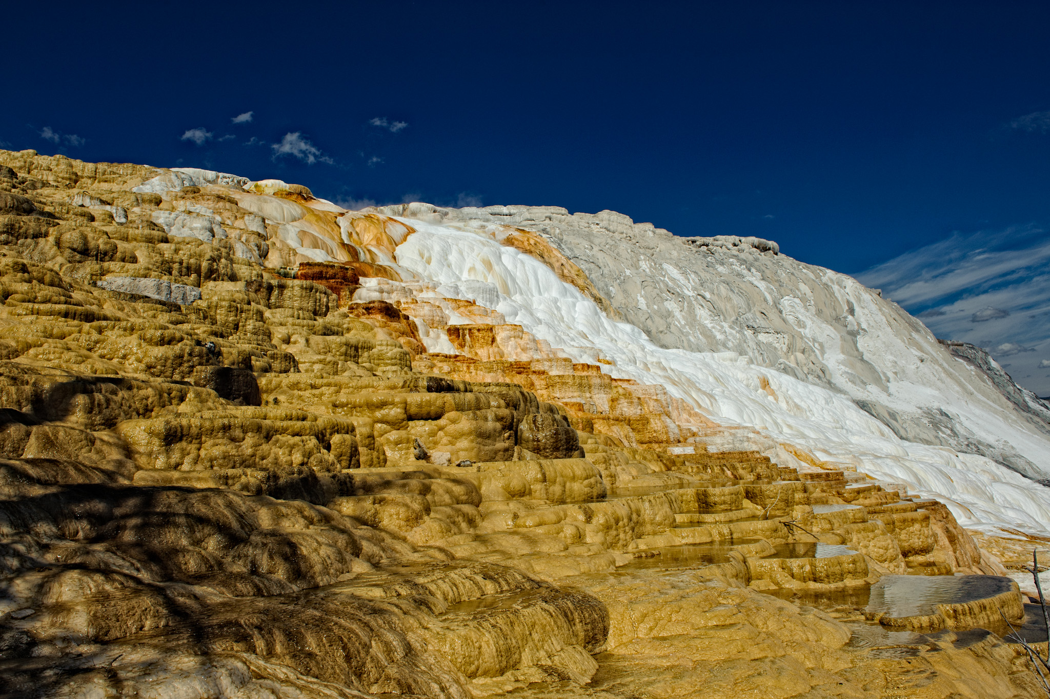 Mammoth Hot Springs