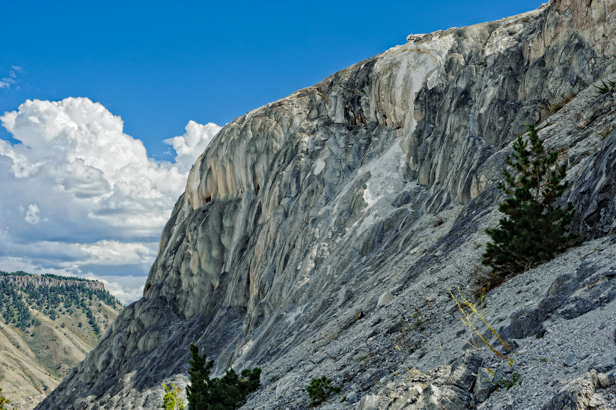 Mammoth Hot Springs