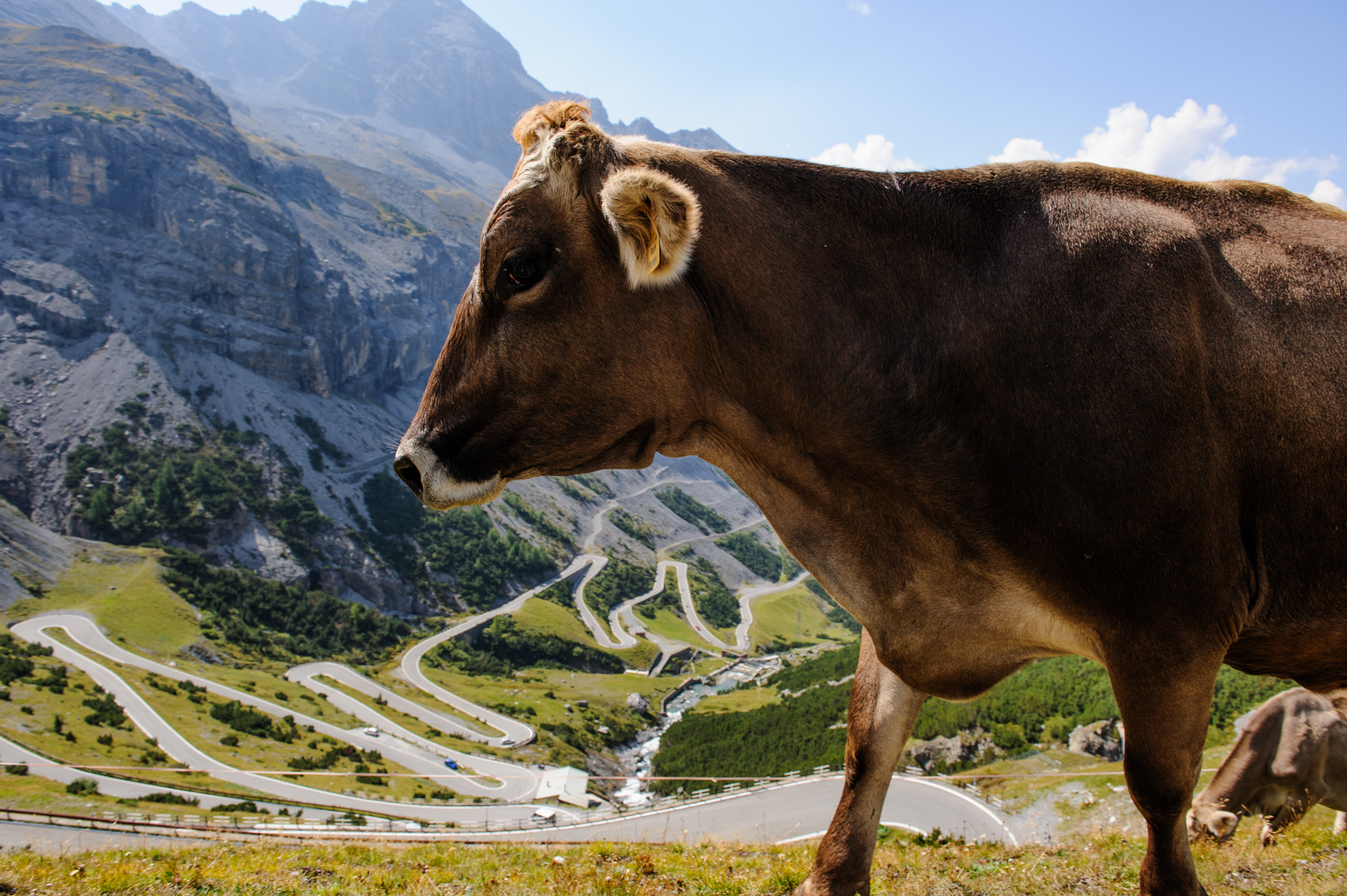Stelvio Pass