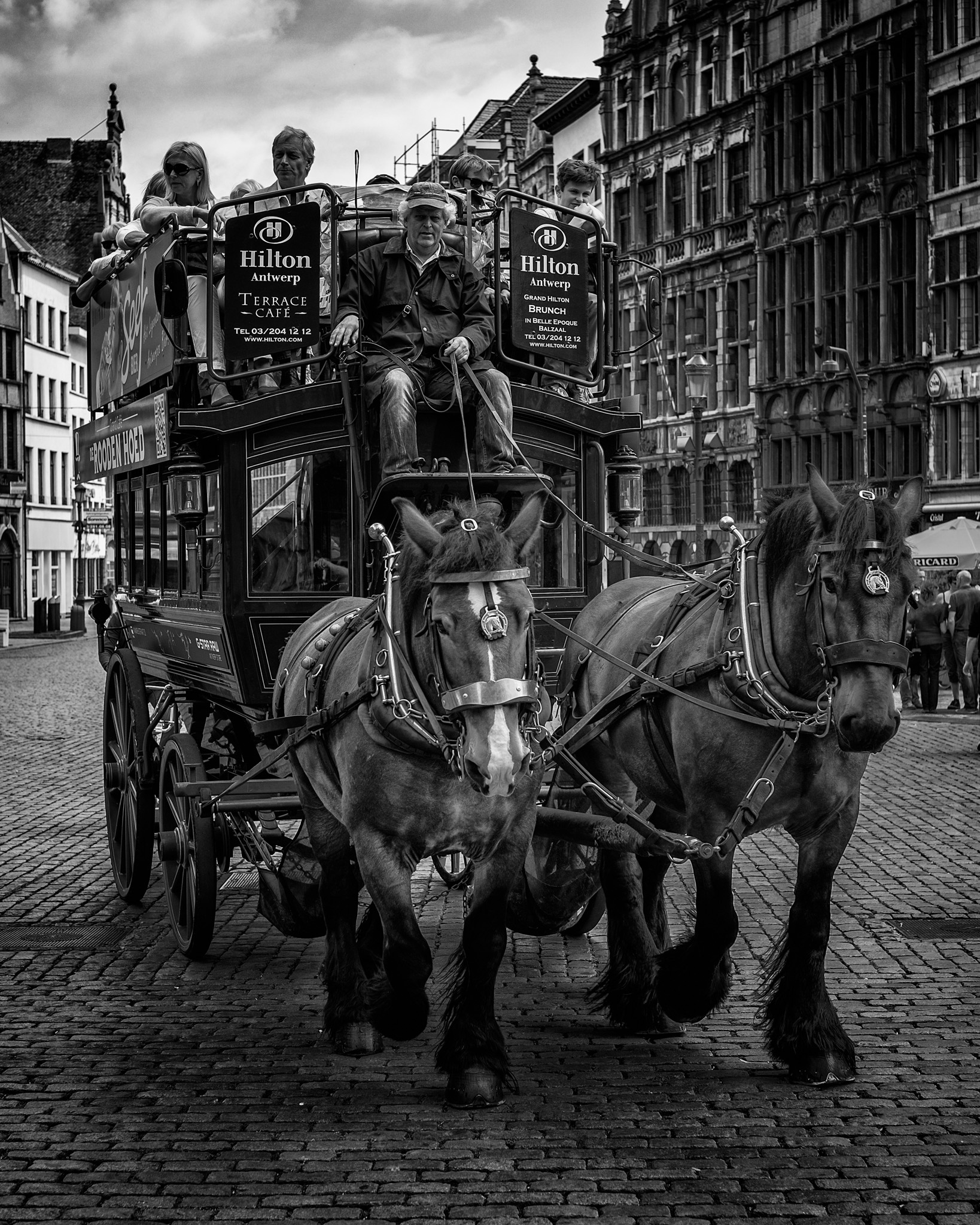 Pieter van der Velden